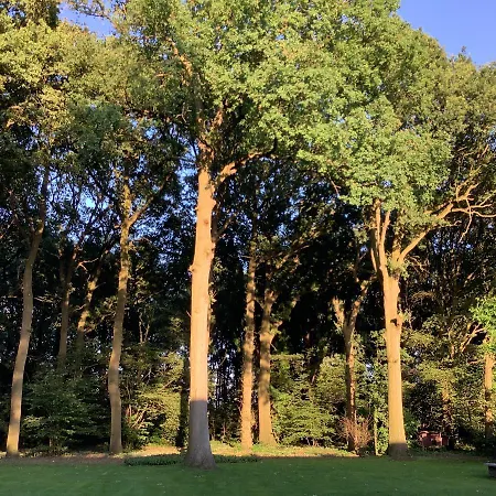 Vakantiewoningeikenhof Lejlighed