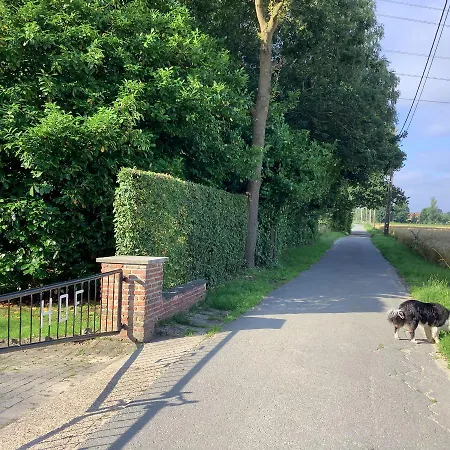 Vakantiewoningeikenhof Lejlighed *